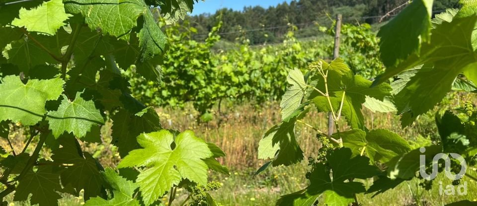 Terreno Agrícola em Sousela de 62 400 m²