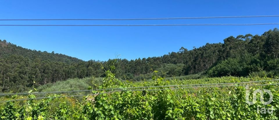 Terreno Agrícola em Sousela de 62 400 m²