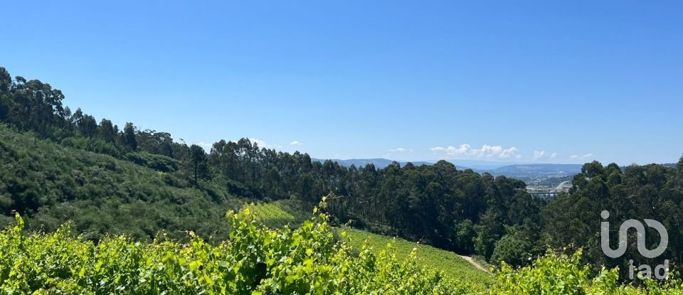 Terreno Agrícola em Sousela de 62 400 m²