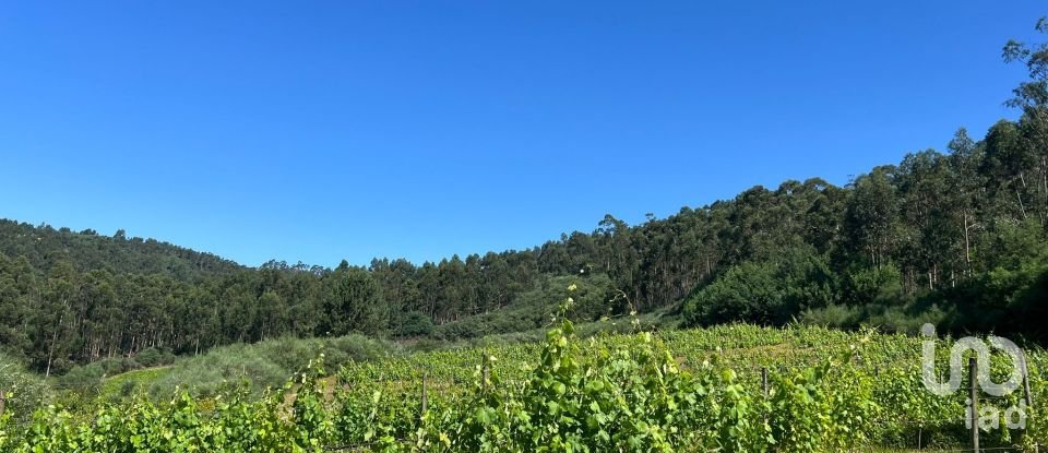 Terreno Agrícola em Sousela de 62 400 m²