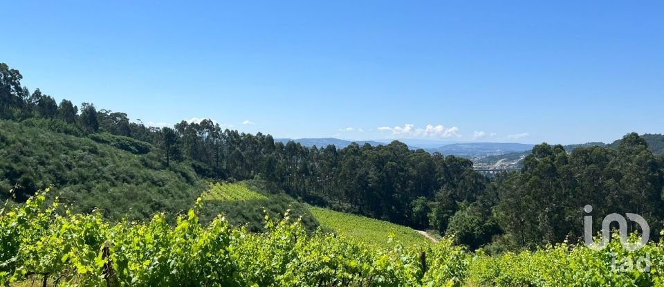 Terreno Agrícola em Sousela de 62 400 m²