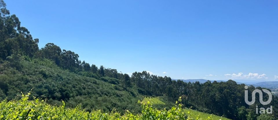 Terreno Agrícola em Sousela de 62 400 m²