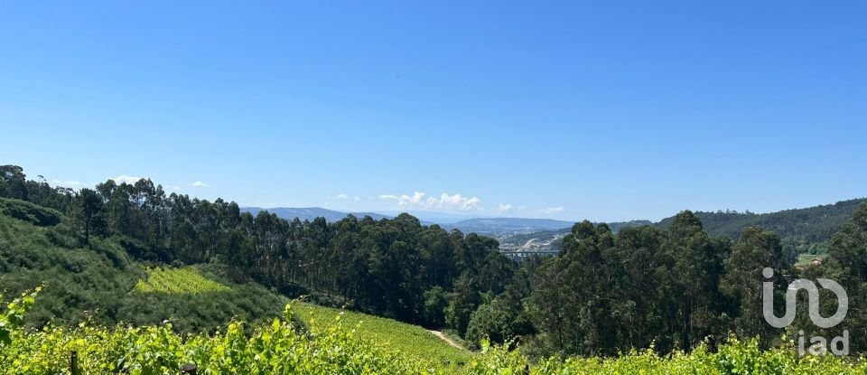 Terreno Agrícola em Sousela de 62 400 m²