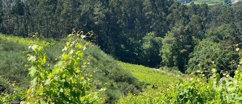 Terreno Agrícola em Sousela de 62 400 m²