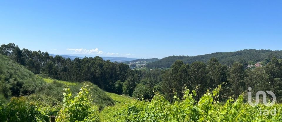 Terreno Agrícola em Sousela de 62 400 m²