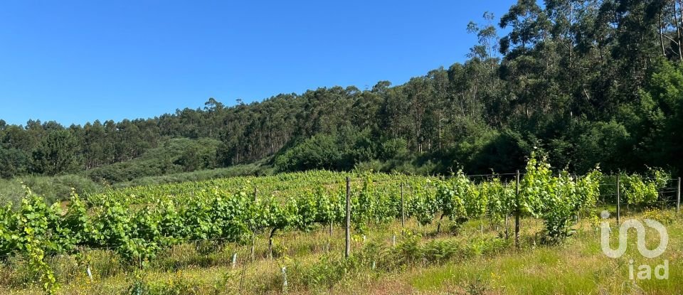 Terreno Agrícola em Sousela de 62 400 m²