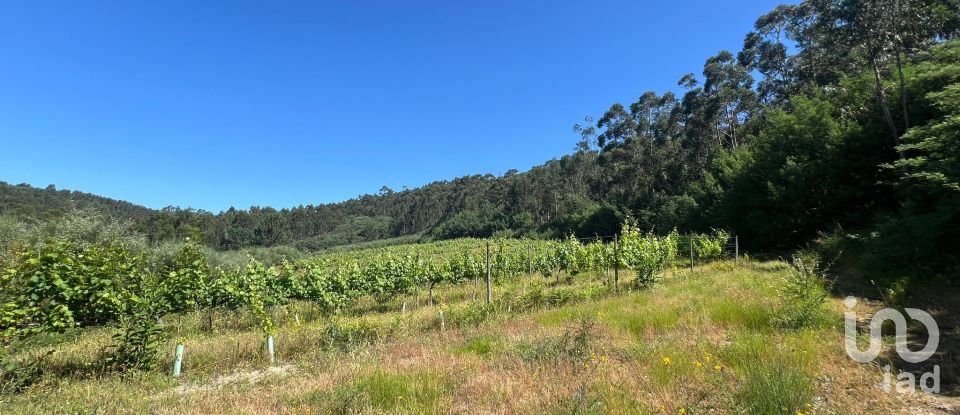 Terreno Agrícola em Sousela de 62 400 m²