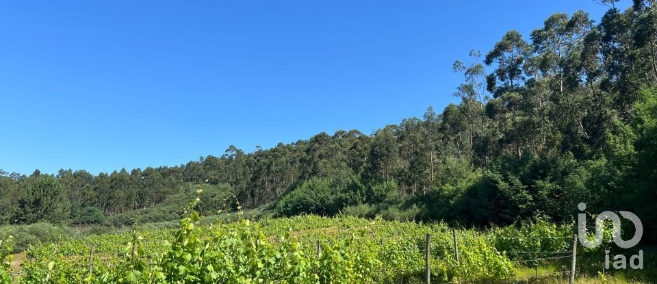 Terreno Agrícola em Sousela de 62 400 m²