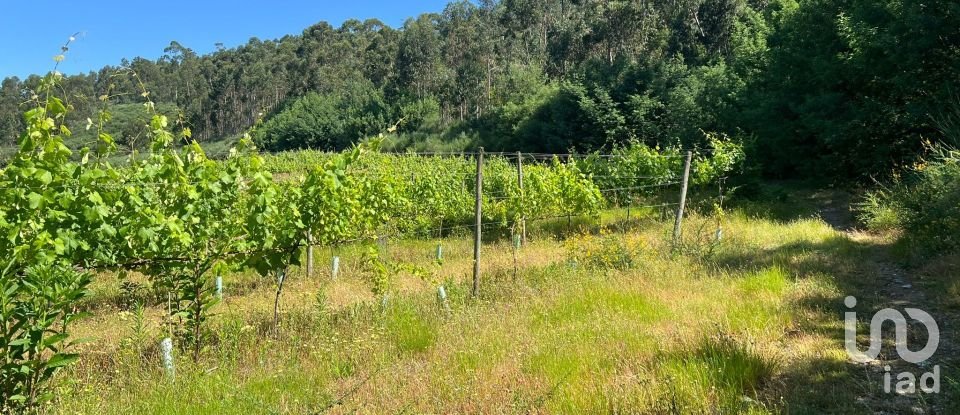 Terreno Agrícola em Sousela de 62 400 m²