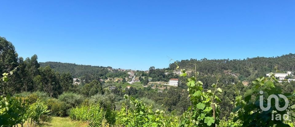 Terreno Agrícola em Sousela de 62 400 m²