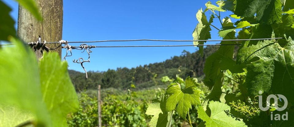 Terreno Agrícola em Sousela de 62 400 m²