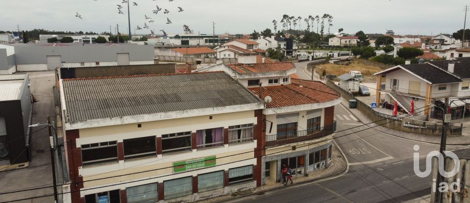 Loja / Estabelecimento Comercial em Vieira de Leiria de 450 m²