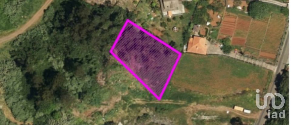 Terrain à São Jorge de 1 310 m²