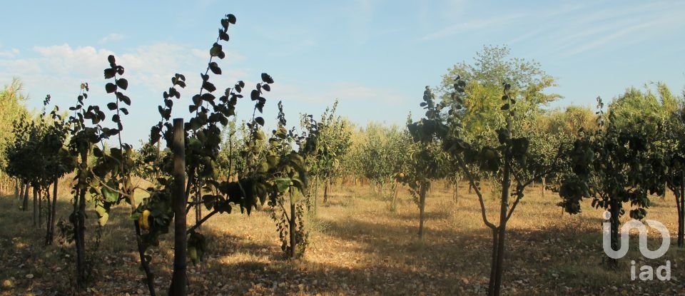 Surface diverse à Bacelo E Senhora Da Saúde de 12 278 m²