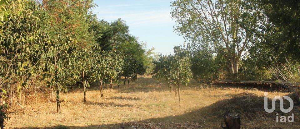 Surface diverse à Bacelo E Senhora Da Saúde de 12 278 m²