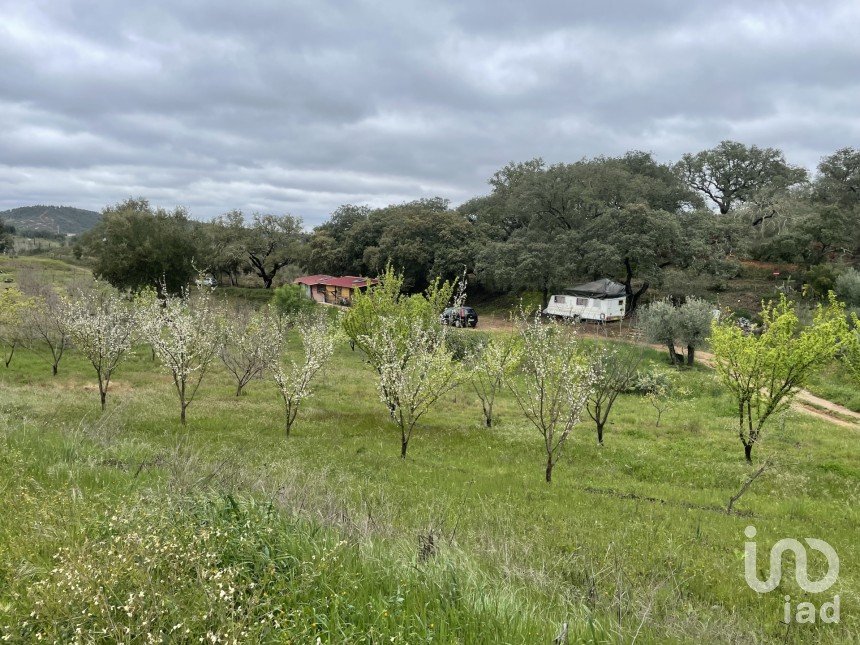 Quinta T10 em São Martinho das Amoreiras de 102 m²