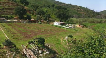 Land in Monchique of 20,625 m²