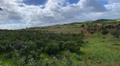 Terrain agricole à Santa Cruz de 726 000 m²