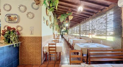 Restaurante em Recarei de 343 m²