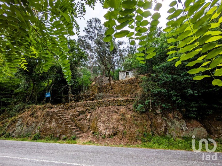 Casa de aldeia T0 em Freigil e Miomães de 60 m²