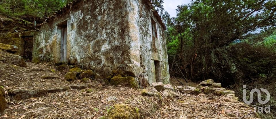 Casa de aldeia T0 em Freigil e Miomães de 60 m²