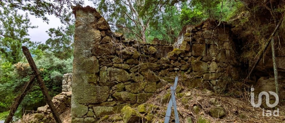 Casa de aldeia T0 em Freigil e Miomães de 60 m²