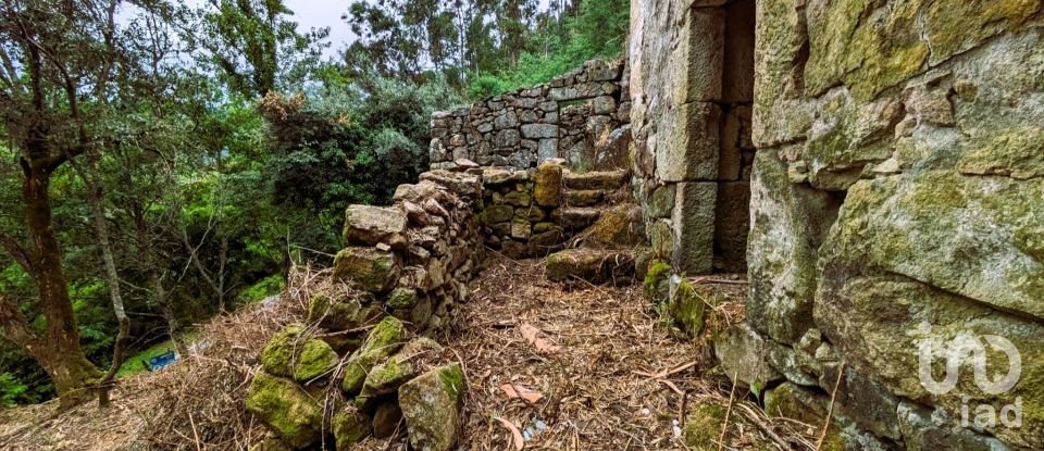 Casa de aldeia T0 em Freigil e Miomães de 60 m²