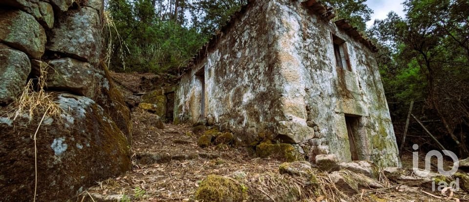 Casa de aldeia T0 em Freigil e Miomães de 60 m²