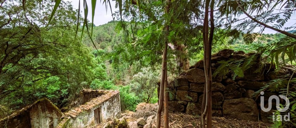 Casa de aldeia T0 em Freigil e Miomães de 60 m²