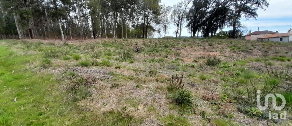 Terreno para construção em Pinheiro da Bemposta, Travanca e Palmaz de 2 200 m²