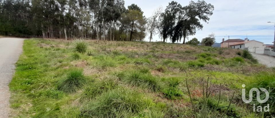 Terreno para construção em Pinheiro da Bemposta, Travanca e Palmaz de 2 200 m²