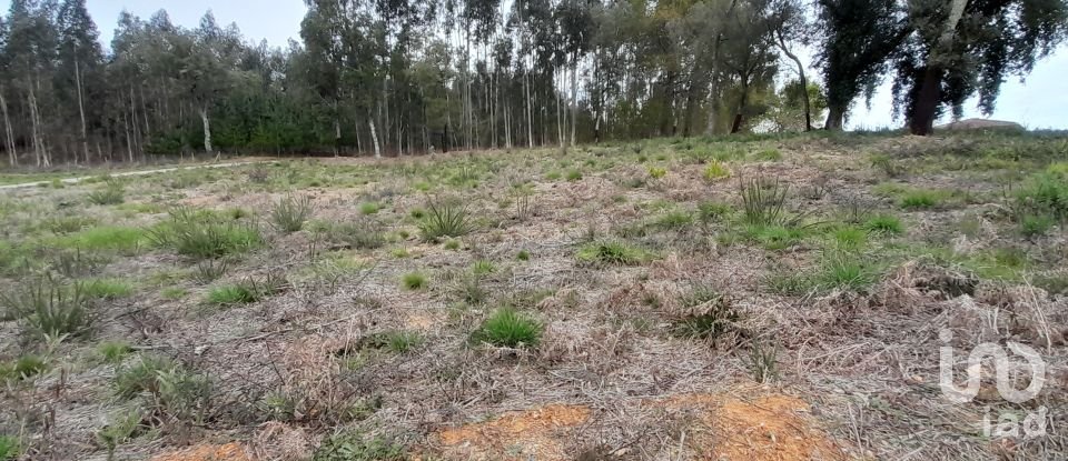 Terreno para construção em Pinheiro da Bemposta, Travanca e Palmaz de 2 200 m²