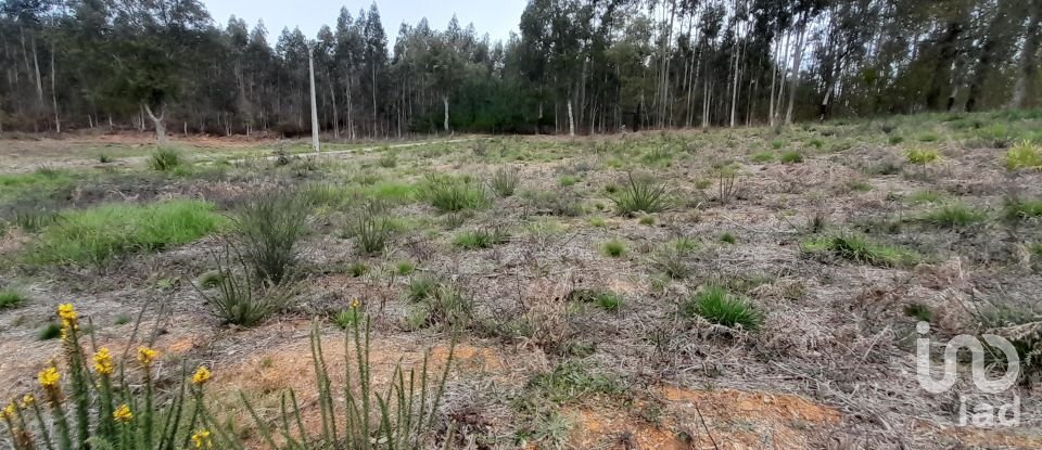 Terreno para construção em Pinheiro da Bemposta, Travanca e Palmaz de 2 200 m²