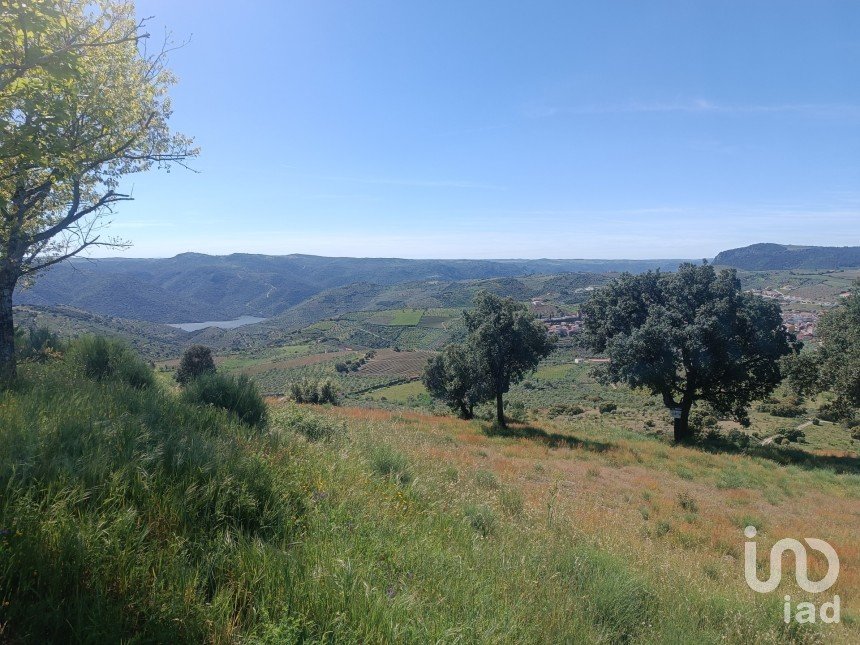 Terreno em Freixo de Espada à Cinta e Mazouco de 49 572 m²