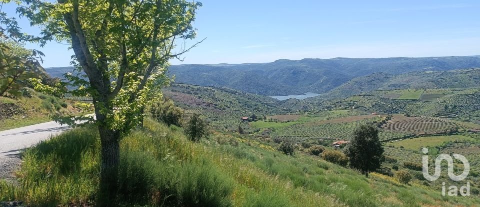 Terreno em Freixo de Espada à Cinta e Mazouco de 49 572 m²