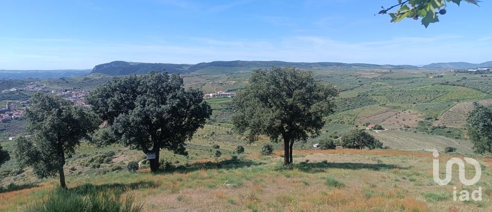 Terreno em Freixo de Espada à Cinta e Mazouco de 49 572 m²