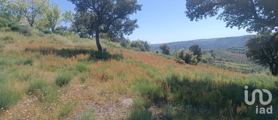 Terreno em Freixo de Espada à Cinta e Mazouco de 49 572 m²