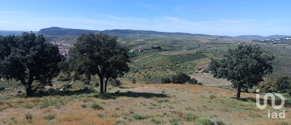 Terreno em Freixo de Espada à Cinta e Mazouco de 49 572 m²