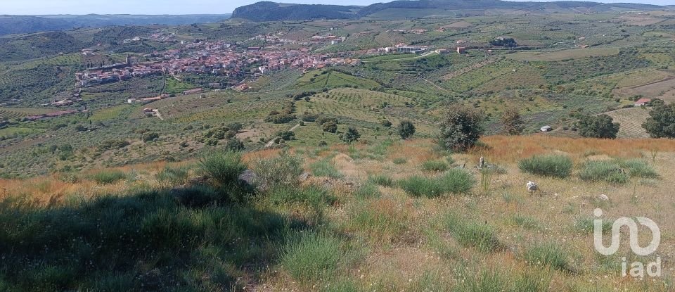 Terreno em Freixo de Espada à Cinta e Mazouco de 49 572 m²