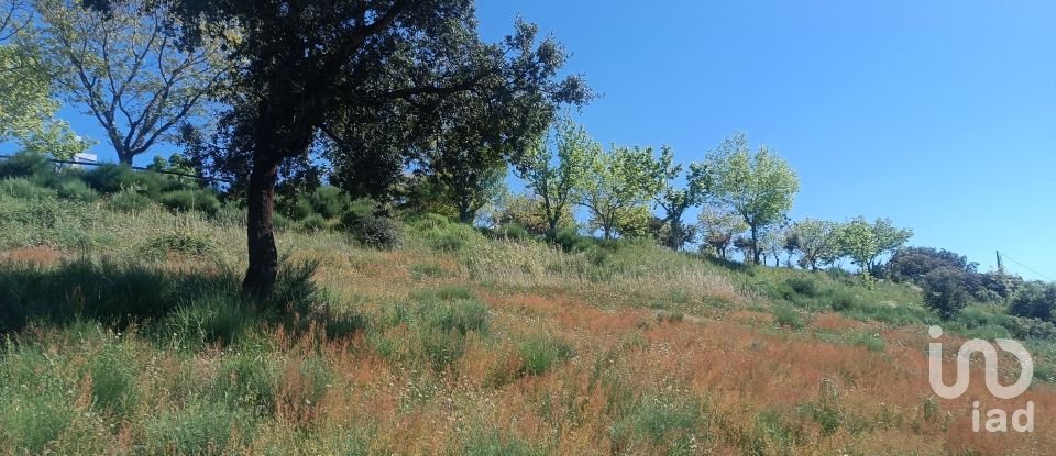 Terreno em Freixo de Espada à Cinta e Mazouco de 49 572 m²