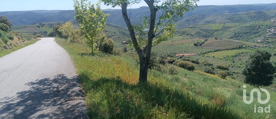 Terreno em Freixo de Espada à Cinta e Mazouco de 49 572 m²