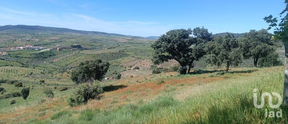 Terreno em Freixo de Espada à Cinta e Mazouco de 49 572 m²