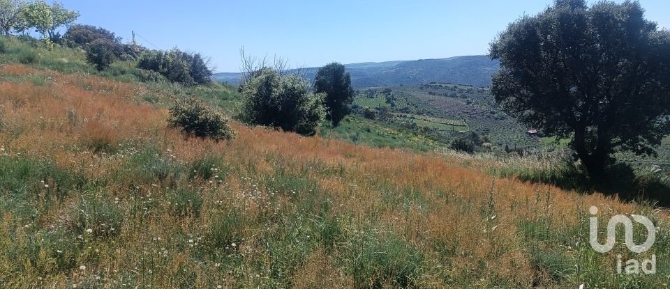 Terreno em Freixo de Espada à Cinta e Mazouco de 49 572 m²