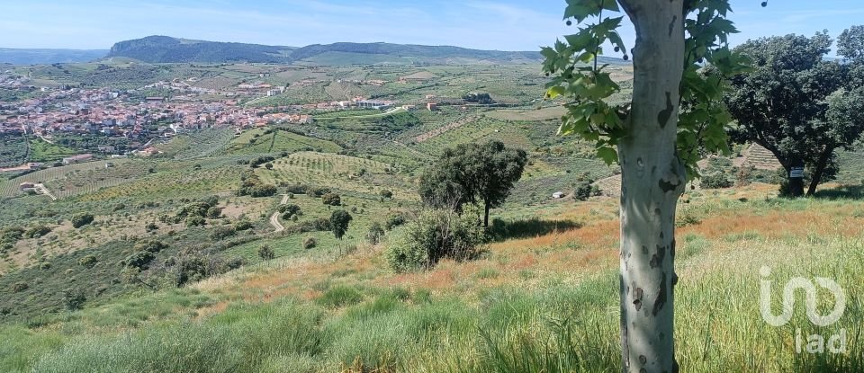 Terreno em Freixo de Espada à Cinta e Mazouco de 49 572 m²