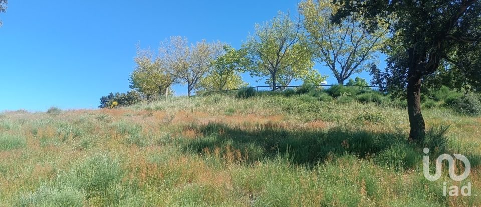 Terreno em Freixo de Espada à Cinta e Mazouco de 49 572 m²