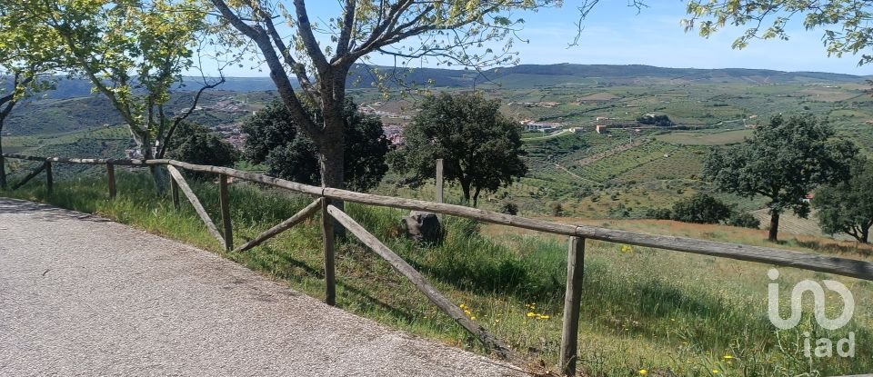 Terreno em Freixo de Espada à Cinta e Mazouco de 49 572 m²