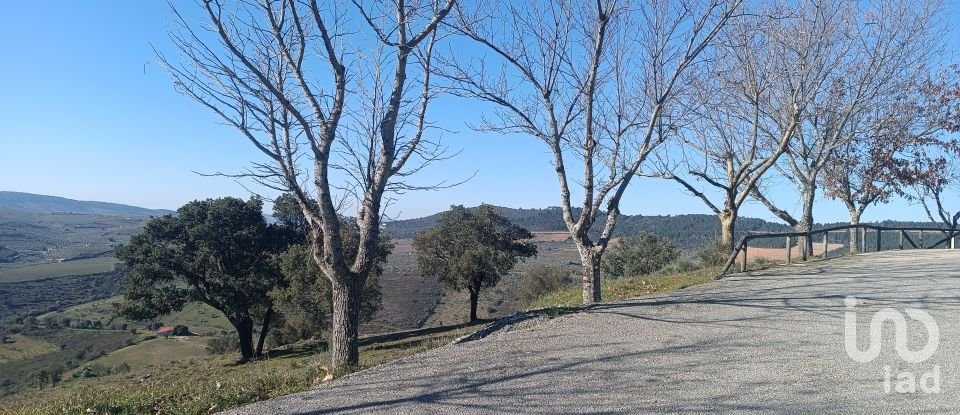 Terreno em Freixo de Espada à Cinta e Mazouco de 49 572 m²