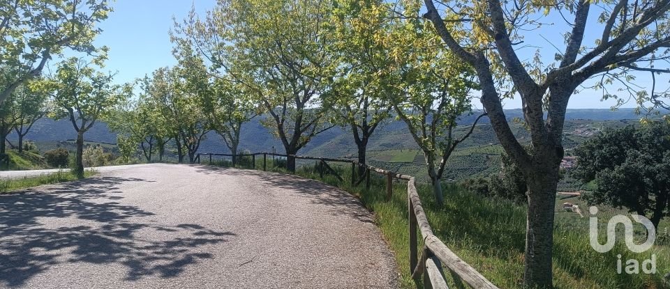 Terreno em Freixo de Espada à Cinta e Mazouco de 49 572 m²