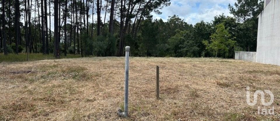 Terreno em Monte Real e Carvide de 698 m²