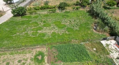 Agricultural land in Miranda do Corvo of 580 m²
